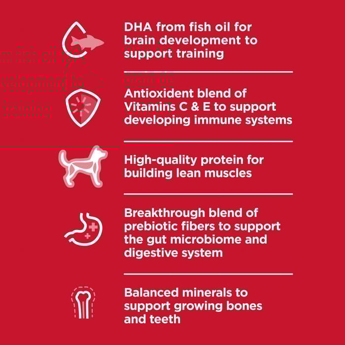 13683 product detail number 1.0