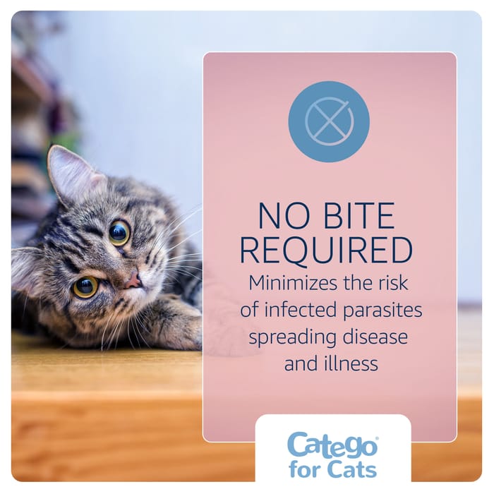 11824 product detail number 1.0