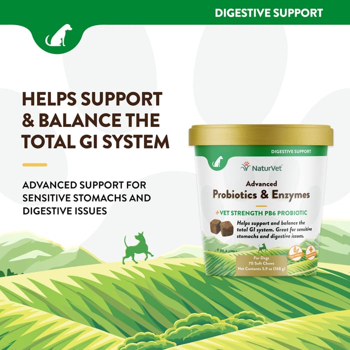 13793 product detail number 1.0