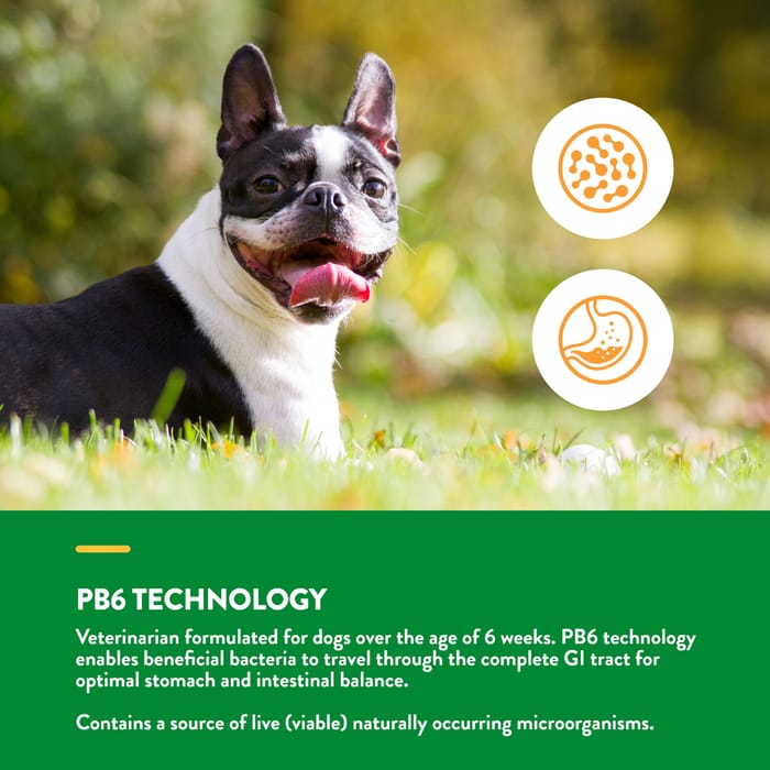 13793 product detail number 1.0