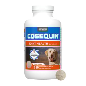 Nutramax Cosequin for Dogs Joint Health Supplement Contains Glucosamine for Dogs Plus Chondroitin and MSM Supports Healthy Joints For All Breeds and Sizes Tasty Chewable Tablets for Dogs - 250 Count-product-tile