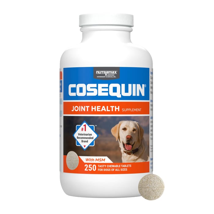 Nutramax Cosequin for Dogs Joint Health Supplement Contains Glucosamine for Dogs Plus Chondroitin and MSM Supports Healthy Joints For All Breeds and Sizes Tasty Chewable Tablets for Dogs - 250 Count product detail number 1.0