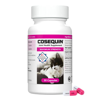 Nutramax Cosequin&reg; Maximum Strength Joint Health Supplement Capsules for Cats - 30 Count-product-tile
