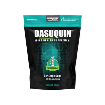 Nutramax Dasuquin&reg; Joint Health Soft Chew Supplement for Large Breed Dogs - 150 Count-product-tile