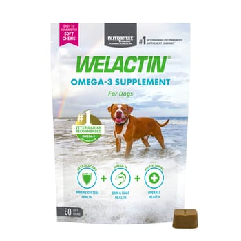 Nutramax Welactin&reg; Omega-3 Skin & Coat Soft Chew Supplement for Dogs - 60 Count-product-tile