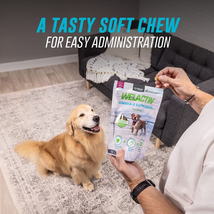 13996 product detail number 1.0