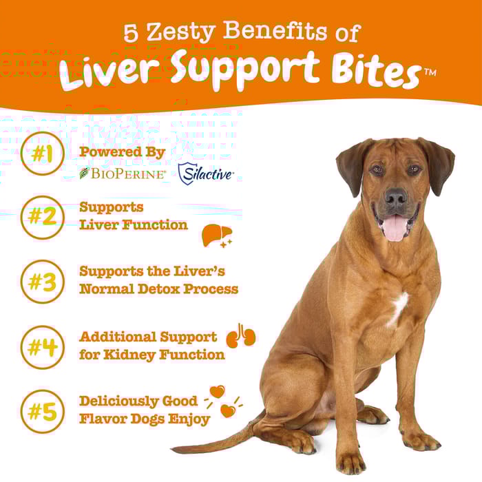 14060 product detail number 1.0