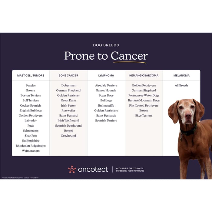 14230 product detail number 1.0