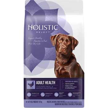 Holistic Select Adult Health Chicken Meal & Rice Dry Dog Food 30 lbs-product-tile