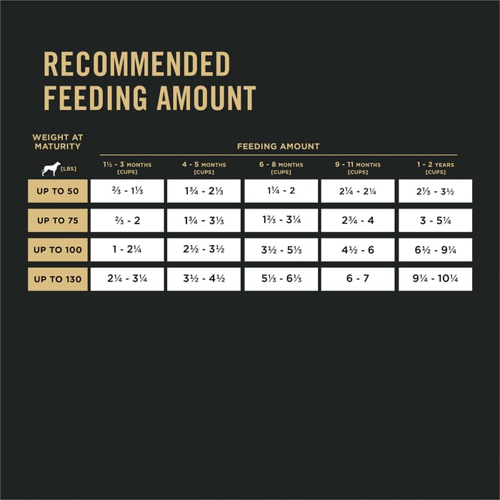 61651 product detail number 1.0