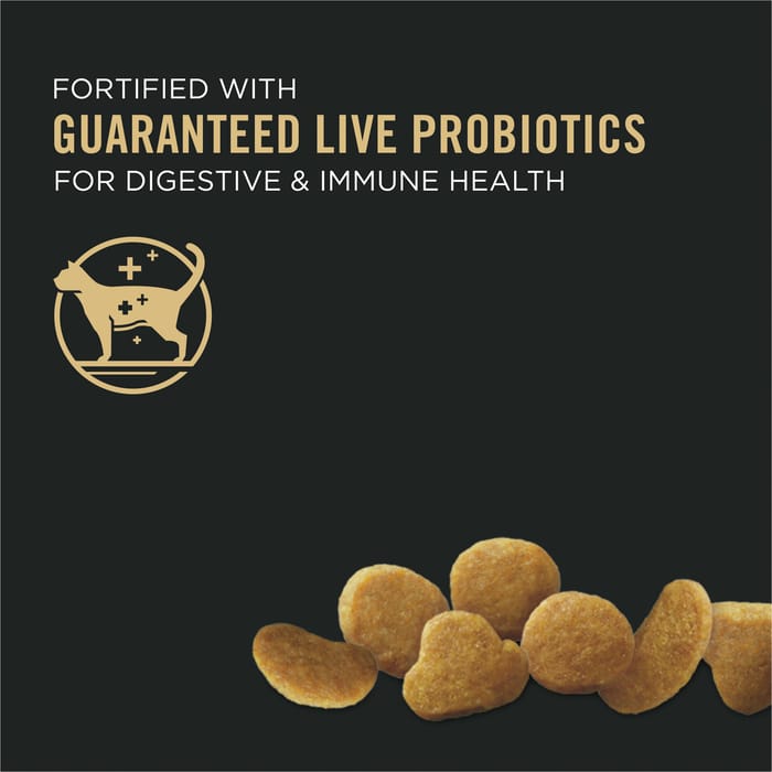 61671 product detail number 1.0