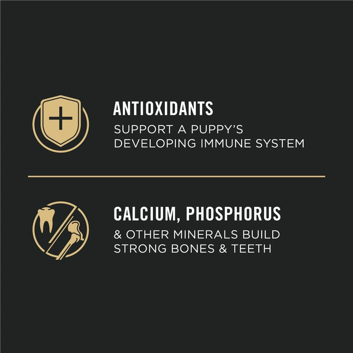 61680 product detail number 1.0