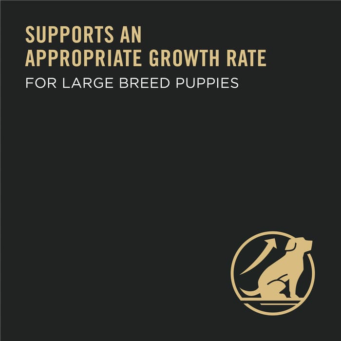 61680 product detail number 1.0