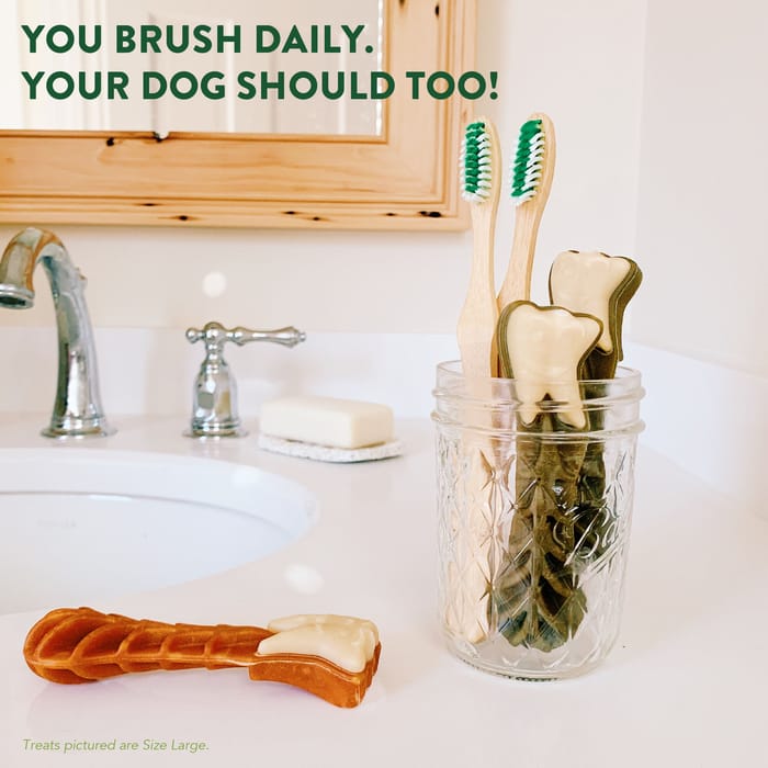 61919 product detail number 1.0