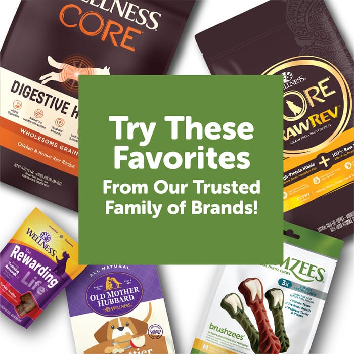 61919 product detail number 1.0