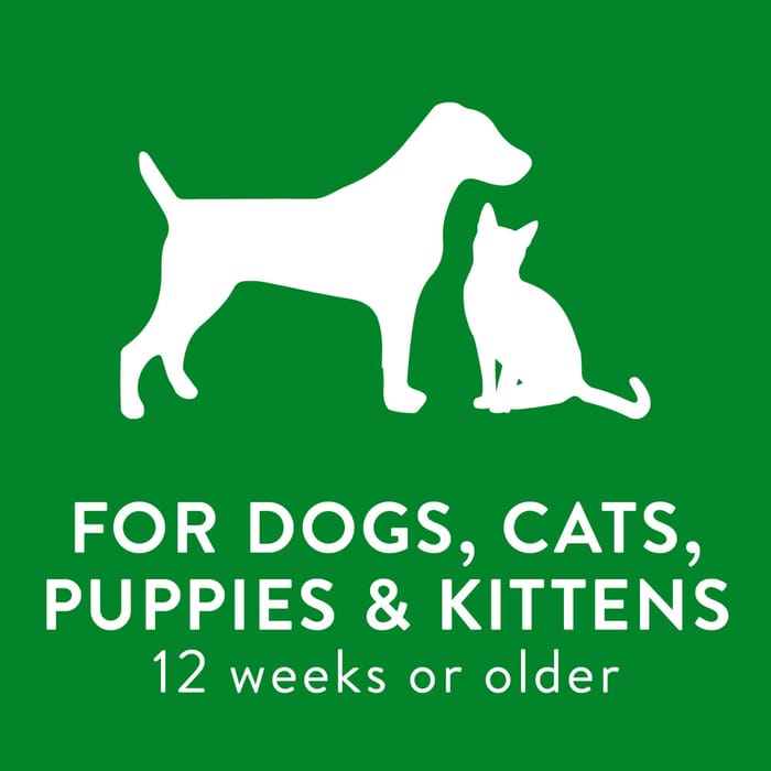 62661 product detail number 1.0