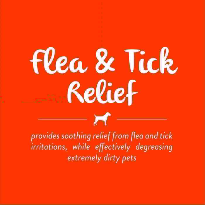 62666 product detail number 1.0