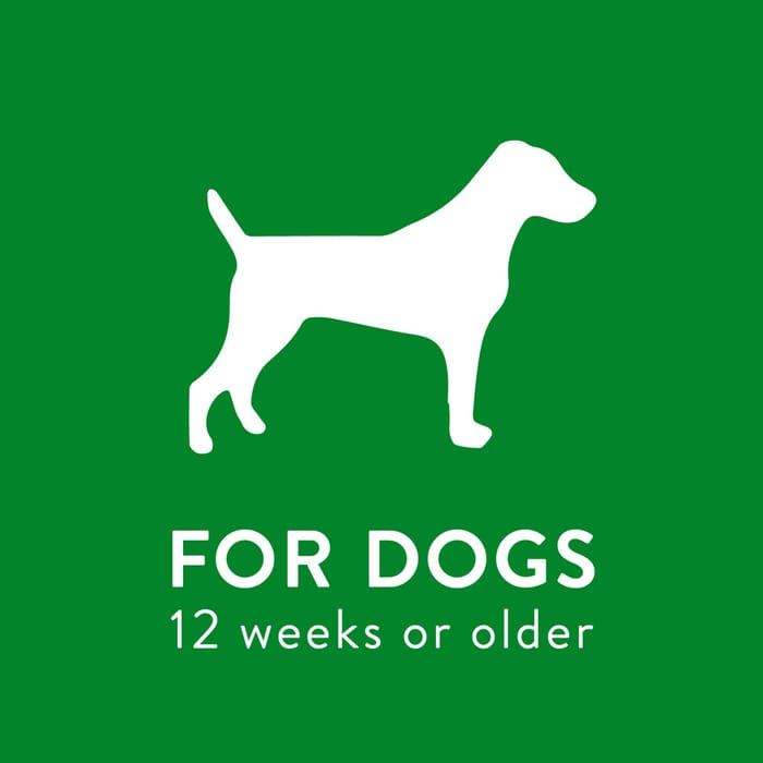 62666 product detail number 1.0