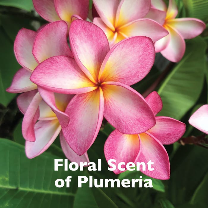 62690 product detail number 1.0