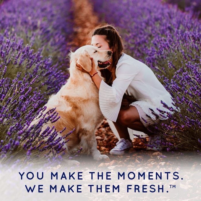 62696 product detail number 1.0