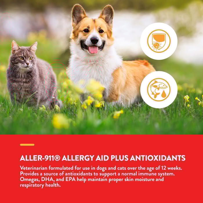 62994 product detail number 1.0