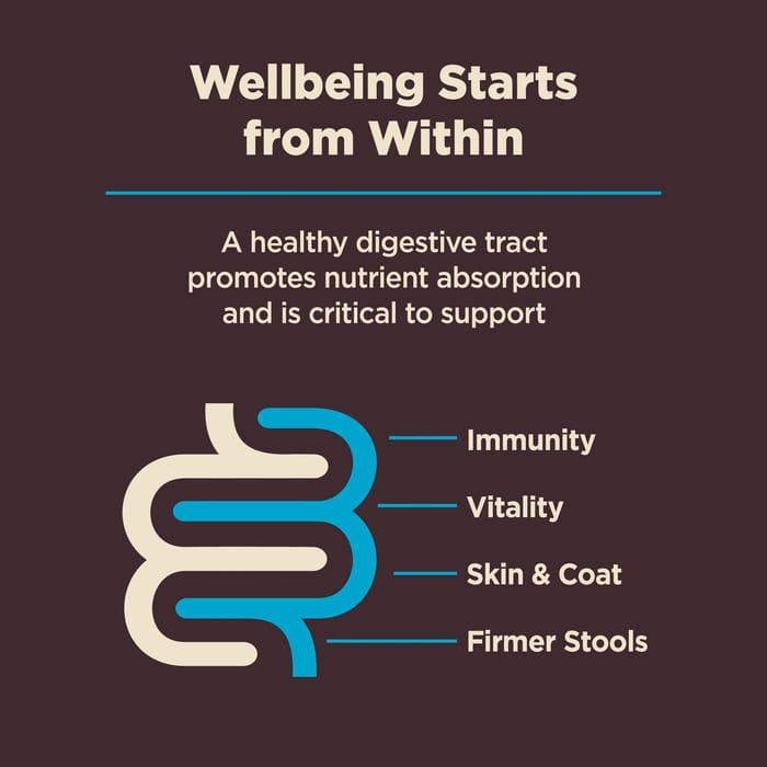 63677 product detail number 1.0