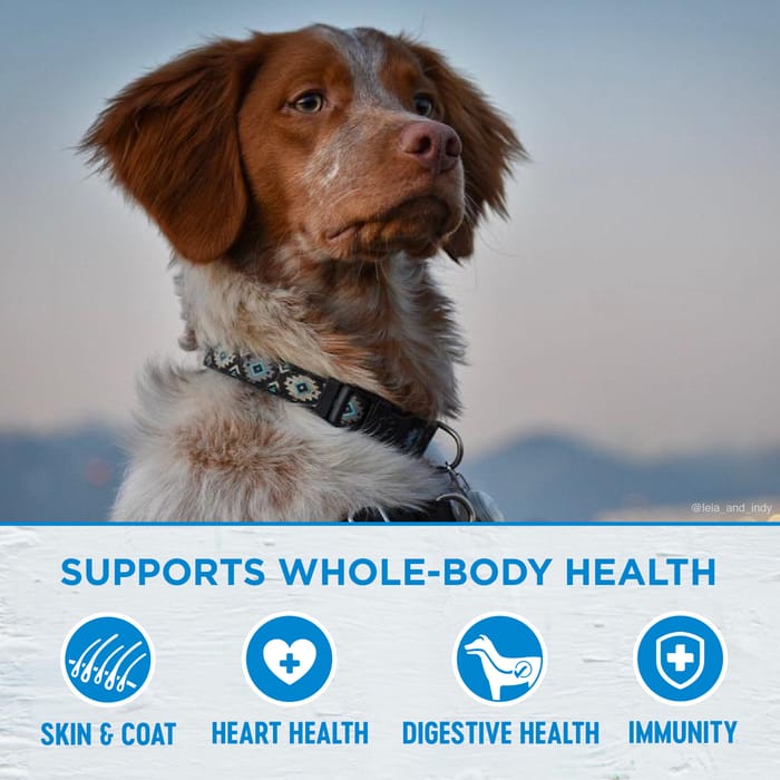 63719 product detail number 1.0