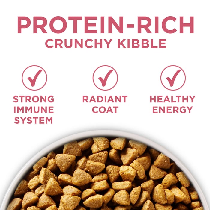 63748 product detail number 1.0