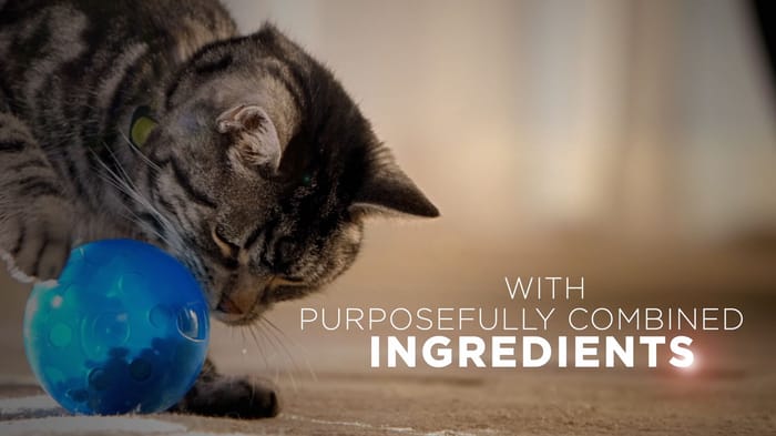 63751 product detail number 1.0