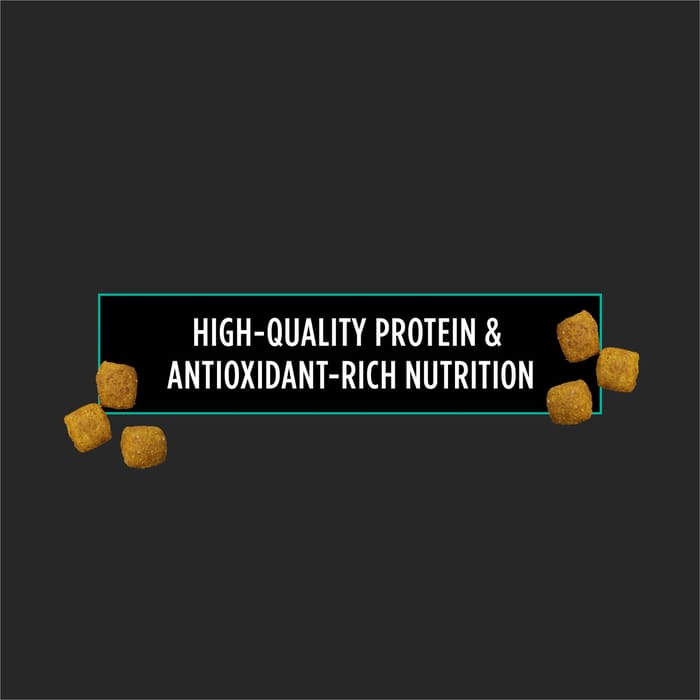 66066 product detail number 1.0