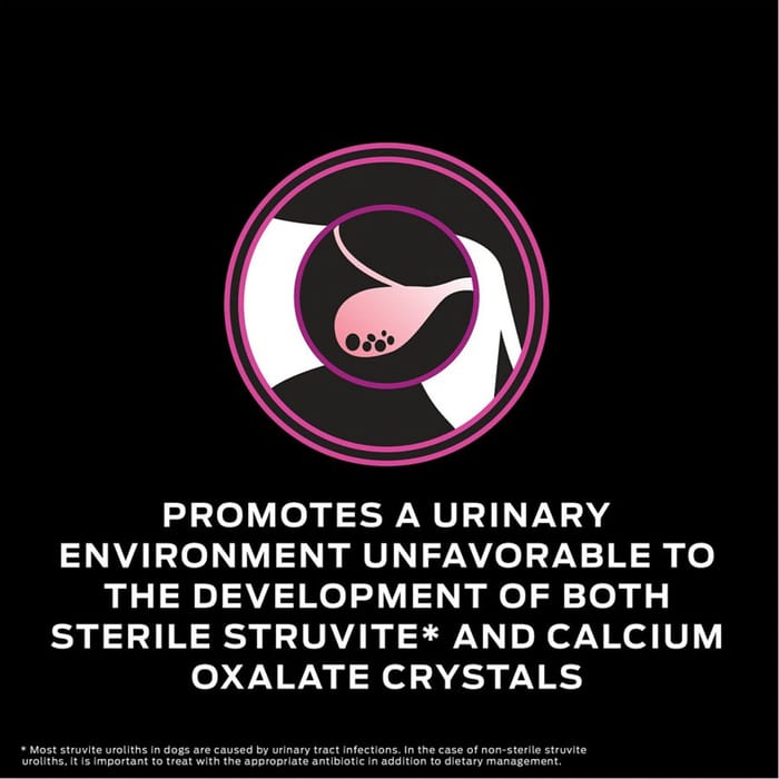 66128 product detail number 1.0