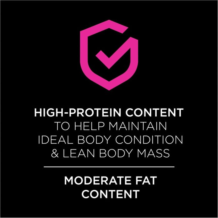 66131 product detail number 1.0