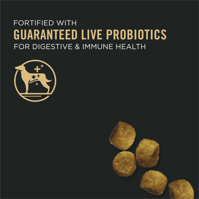 66365 product detail number 1.0