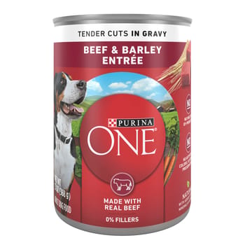 Purina ONE SmartBlend Tender Cuts in Gravy Adult Canned Dog Food Beef & Barley-product-tile