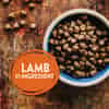 66579