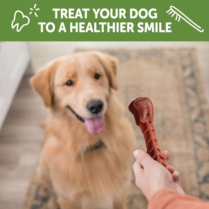 66588 product detail number 1.0