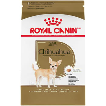 Royal Canin Breed Health Nutrition Chihuahua Adult Dry Dog Food - 2.5 lb Bag-product-tile
