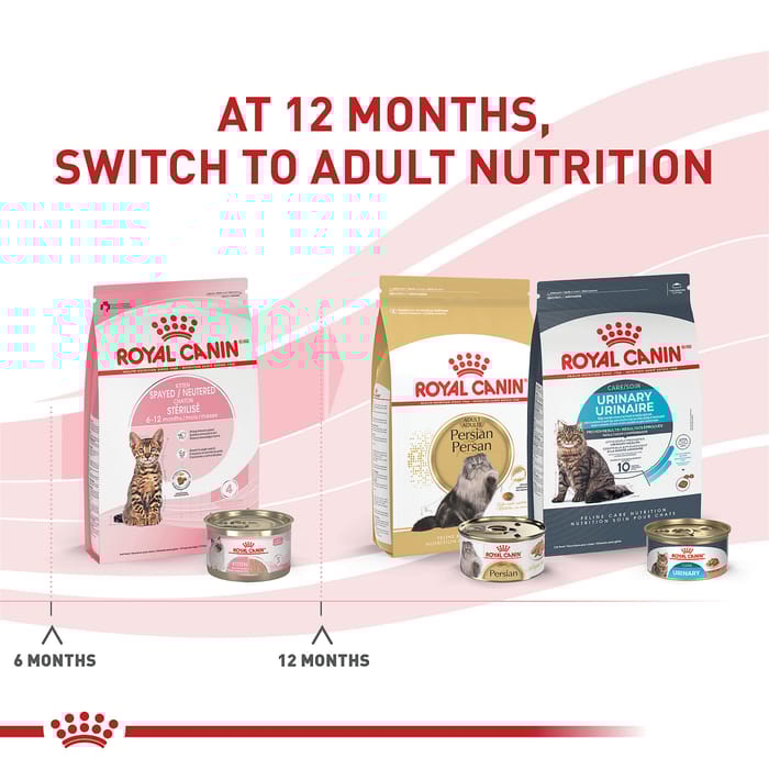 66732 product detail number 1.0