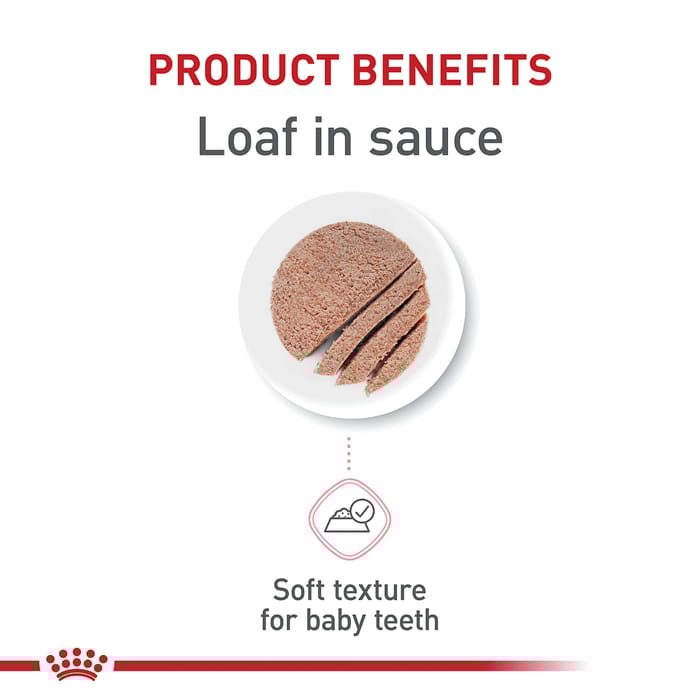 66744 product detail number 1.0