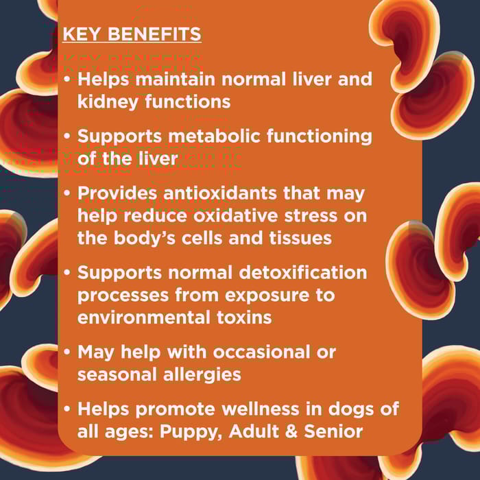 67455 product detail number 1.0