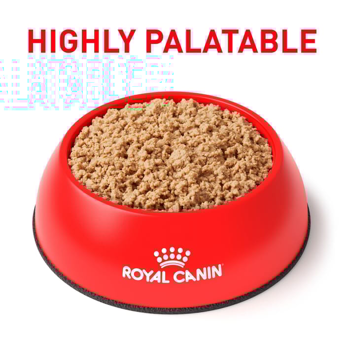 67582 product detail number 1.0