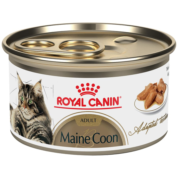 Royal Canin Feline Breed Nutrition Maine Coon Thin Slices in Gravy Adult Wet Cat Food - 3 oz Cans - Case of 24 product detail number 1.0