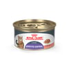 Royal Canin Feline Care Nutrition Appetite Control Care Thin Slices in Gravy Adult Wet Cat Food - 3 oz Cans - Case of 24