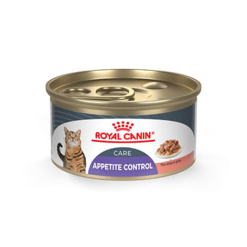 Royal Canin Feline Care Nutrition Appetite Control Care Thin Slices in Gravy Adult Wet Cat Food - 3 oz Cans - Case of 24-product-tile