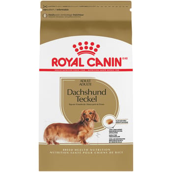 Royal Canin Breed Health Nutrition Dachshund Adult Dry Dog Food - 2.5 lb Bag-product-tile