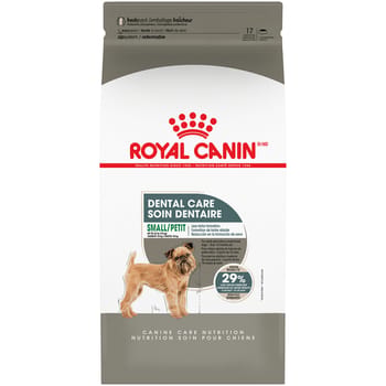 Royal Canin Canine Care Nutrition Small Breed Dental Care Adult Dry Dog Food-product-tile
