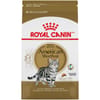 Royal Canin Feline Breed Nutrition American Shorthair Adult Dry Cat Food - 5.5 lb Bag