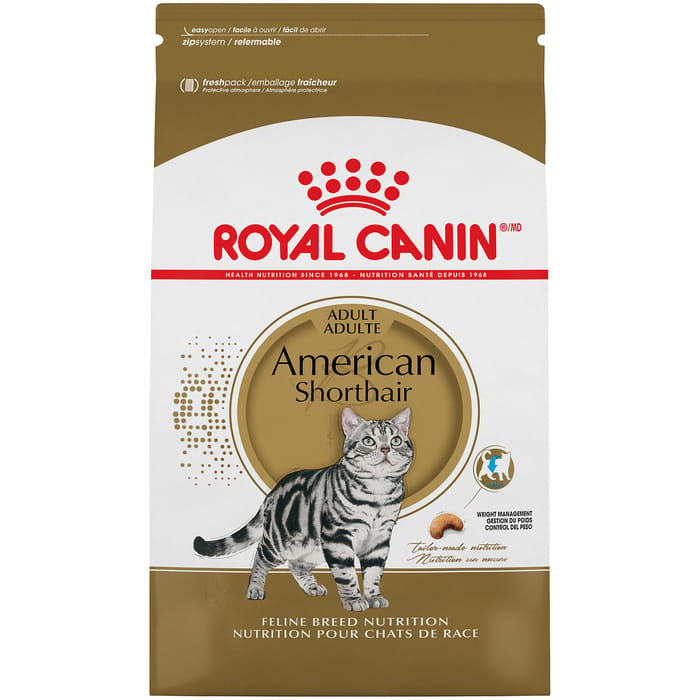 Royal Canin Feline Breed Nutrition American Shorthair Adult Dry Cat Food - 5.5 lb Bag product detail number 1.0