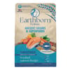 Earthborn Holistic Ancient Grains & Superfoods Unrefined Smoked Salmon Recipe Dry Dog Food 4 lb Bag