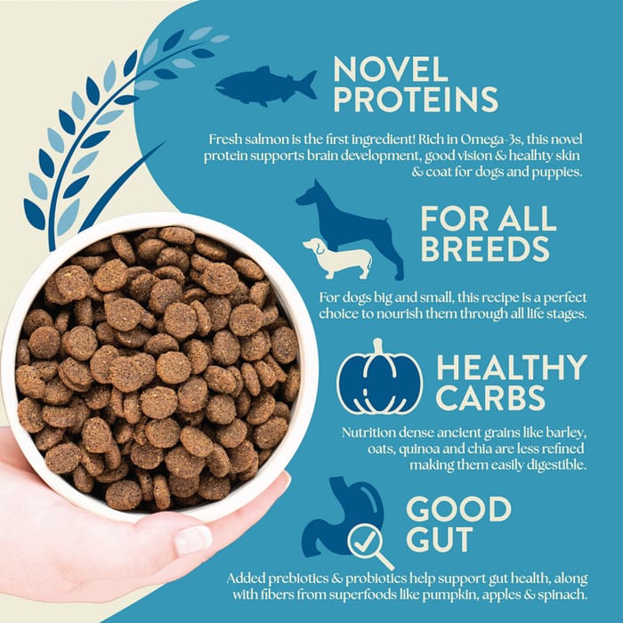 67861 product detail number 1.0